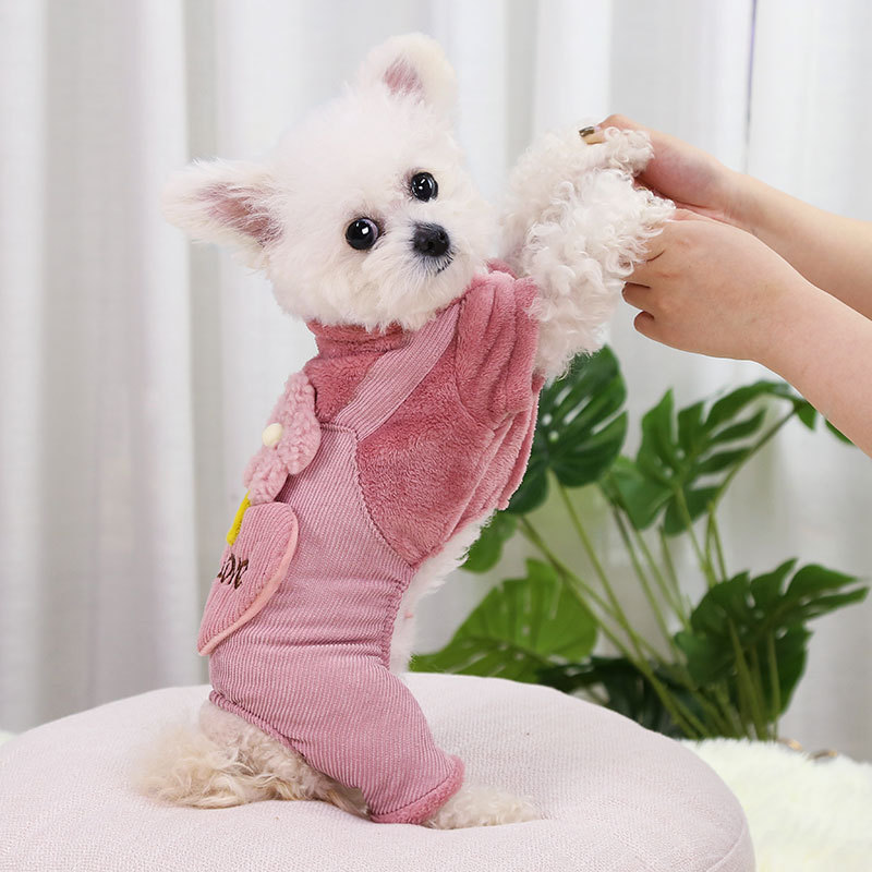 Flower Princess Pet Clothes for Small Dogs, Dog Jumpsuit, Cute Puppy, Cat Clothing, Sweet Pets, Chihuahua Apparel, Autumn Winter