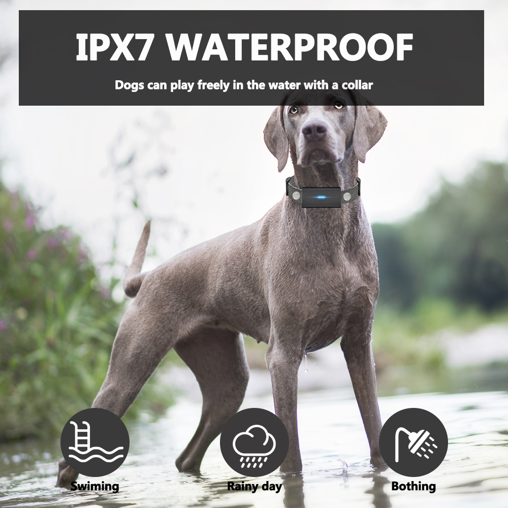 Dog Shock Collar, Dog Training Collar with Remote - 3 Training Modes, Collar for Dogs Training(for 2 dog)