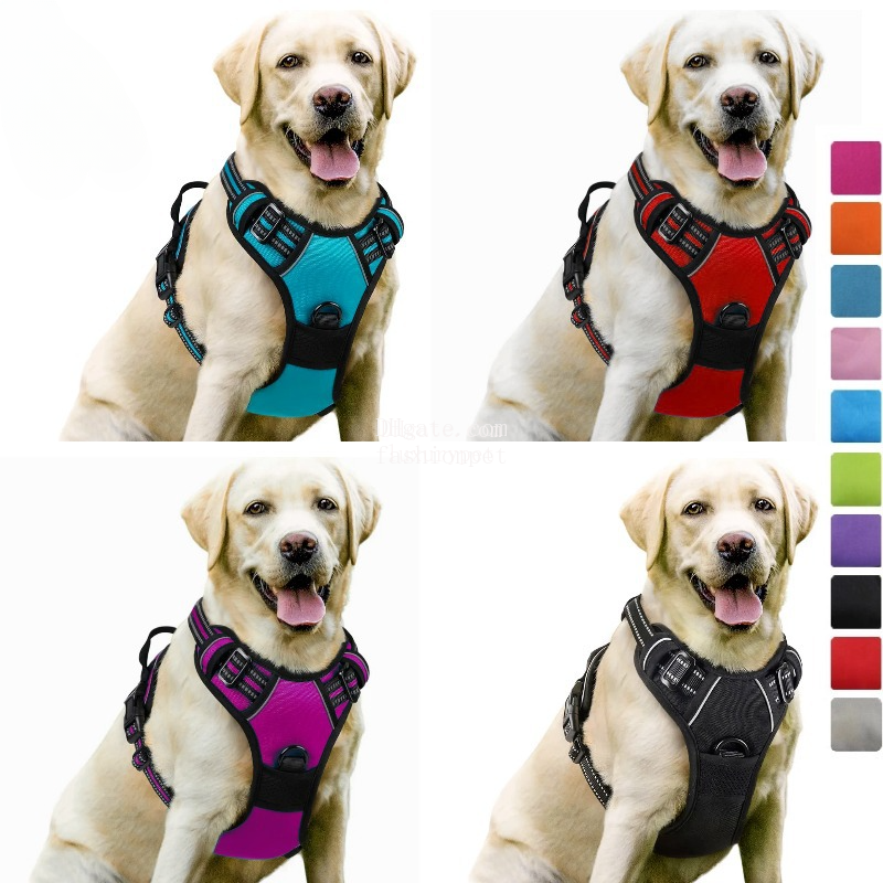 No-Pull Pet Harness with 2 Leash Clips, Adjustable Soft Padded Dog Vest, Reflective No-Choke Pet Oxford Vest with Easy Control Handle for Large Dogs, Black, L