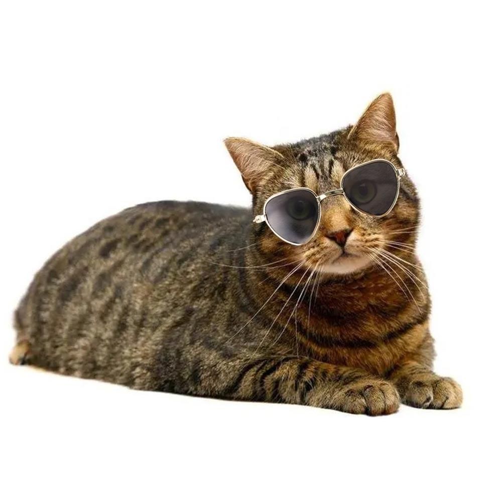 Fashion Dog Sunglasses Reflection Eye Wear Flying Glasses for Small Dog Cat Pet Photos Props Accessories Pet Products