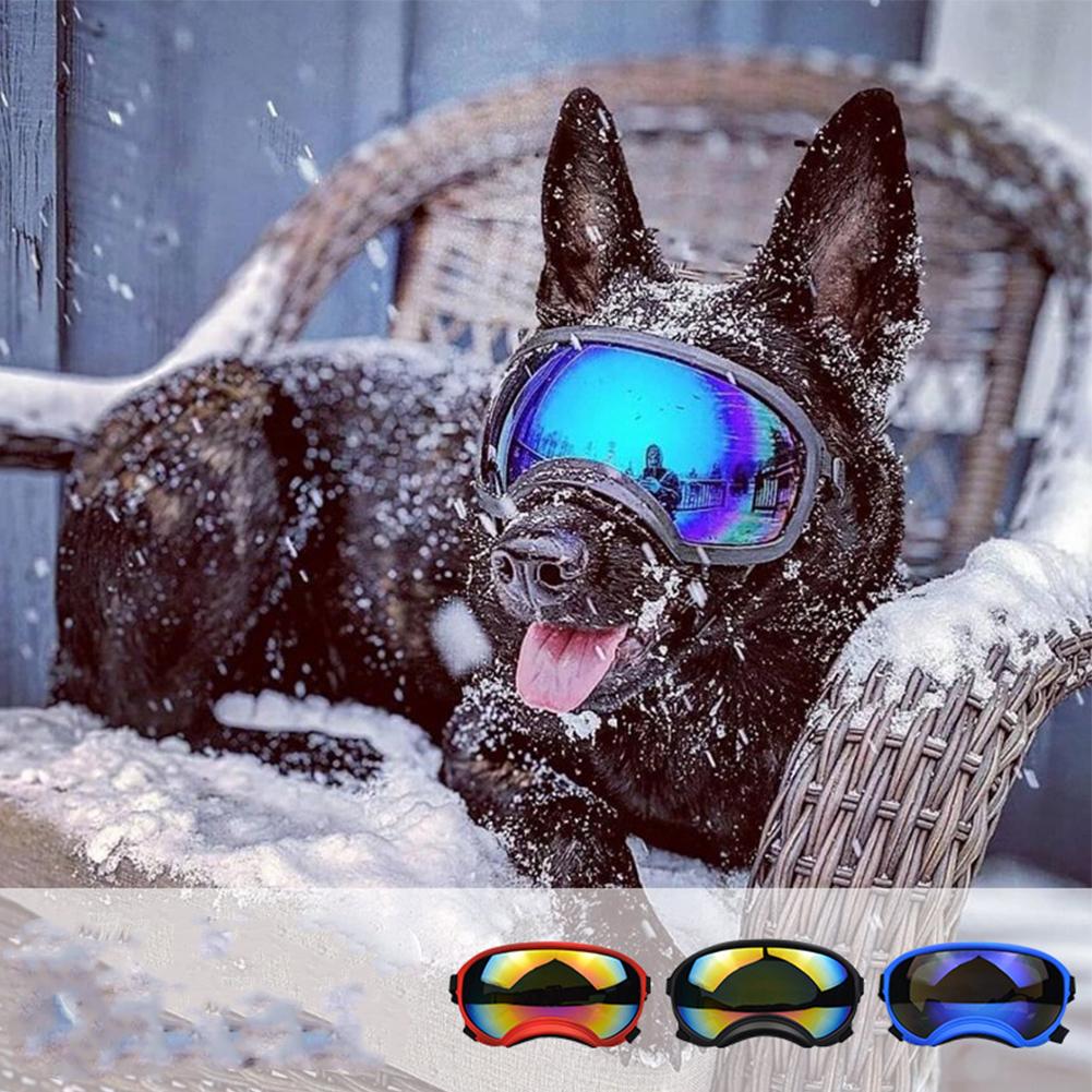 Dog Sunglasses For Medium Large Dogs Uv Protection Windproof Goggles With Adjustable Strap Eyes Protection