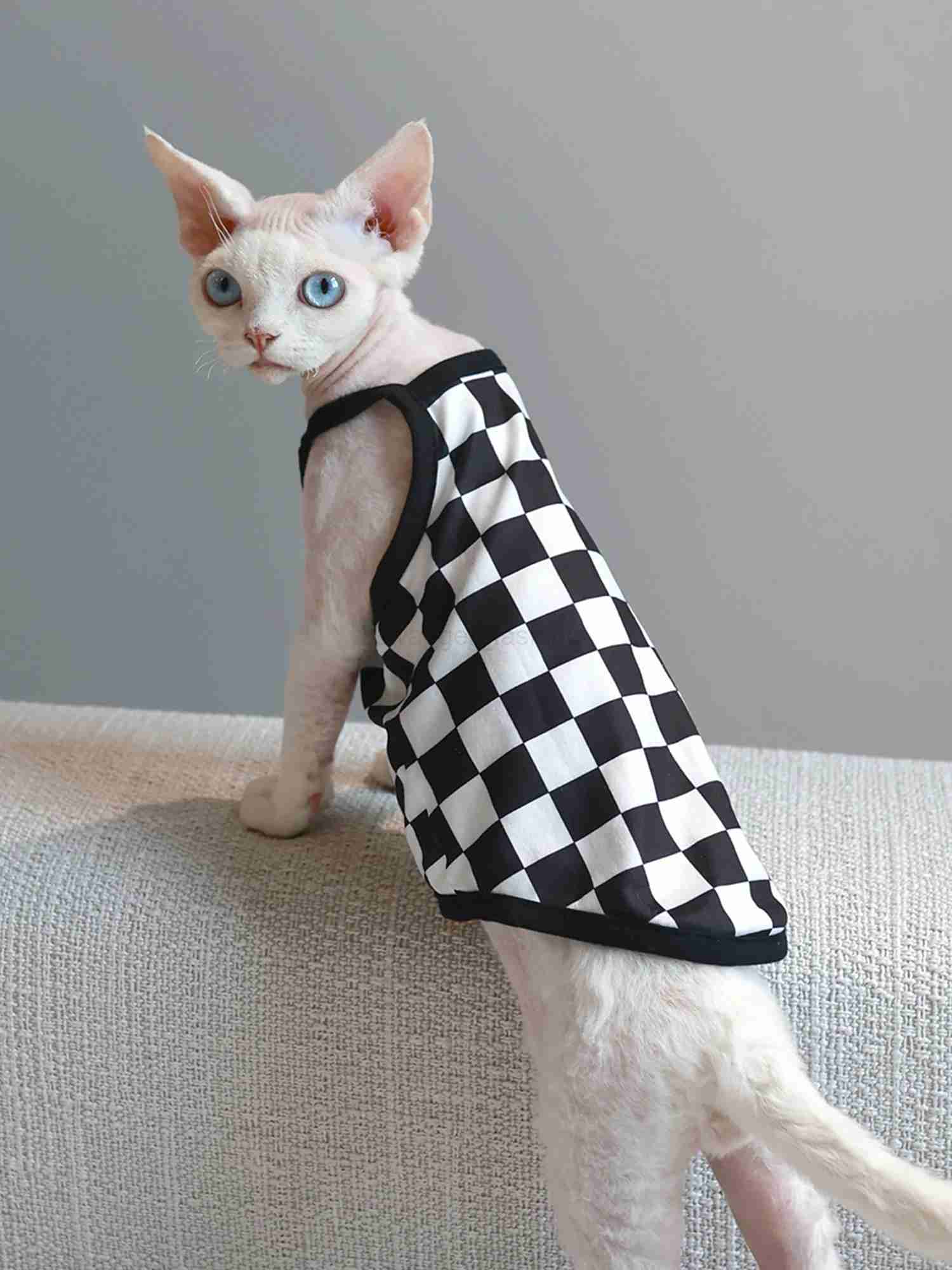 Pet Cat Clothes Sphynx Kitten Plaid Vest Shirt For Sphinx Devon Rex Breathable Cat Camisole Soft Summer Clothing Cat SupplierB270726