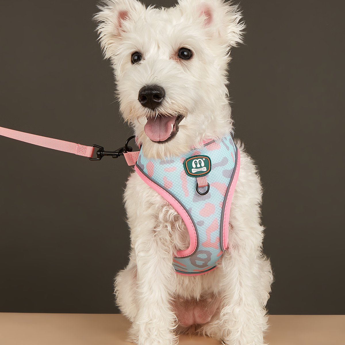 MIDEPET Own Brand In Stock Drop Shipping Accept Pet Product Supplier Dog Harness And Leash Set