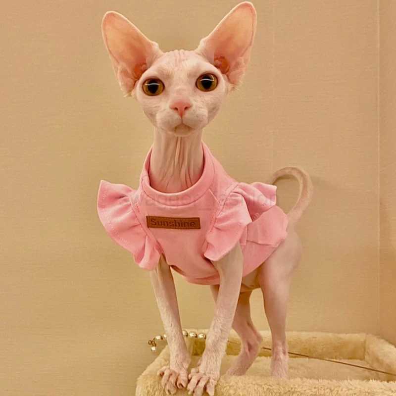 2021 Luxury Sphynx Cat Clothes Summer Dog Fancy Dress For Hairless Cats Clothing Small French Bulldog Puppy Costume Kittens VestB270726