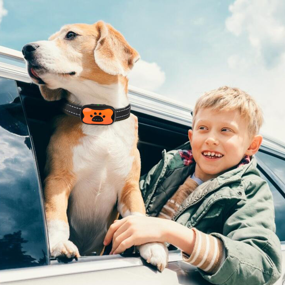 Dog Premium Hand Electronic Gadgets Most Dog Training Collar