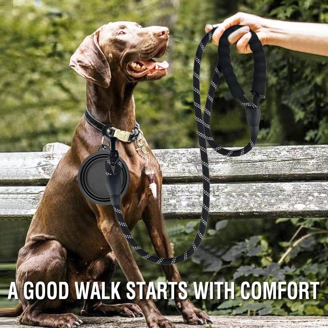 5/6 FT Strong Pet Dog Leash with Soft Padded Handle,Highly Reflective Rope Night Walking,360-Degree Rotating Metal Buckle Without Tangles, for Small L