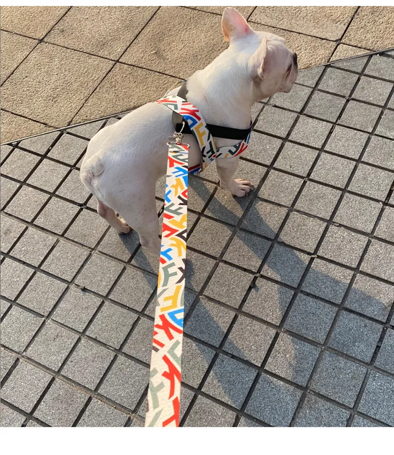 Fashionable Textured-Look Heavy-Duty Collars Plus Adjustable Trainer Lines Ideal For Middle/Large Breed Companions