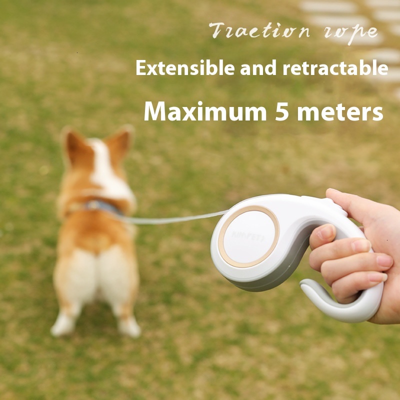 Pet dog Teddy automatic retractable leash Cat dog leash 3m outdoor dog walking leash