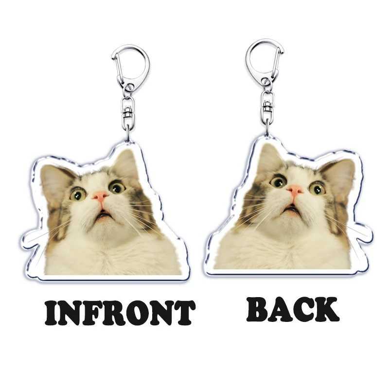 Cute Bread Cat Funny Meme Key Chain Keychains Ring for Accessories Bag Pendant Keyring Jewelry Fans Love GiftsL240729