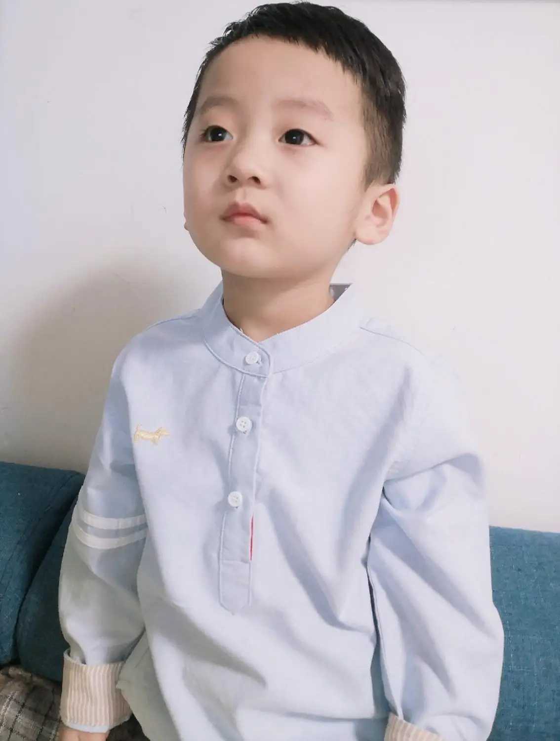 2020 Spring/Autumn 2 3 4 6 8 10 Year Old Children Solid Color Cotton Mandarin Collar Dog Long Sleeve White ShirtW240729