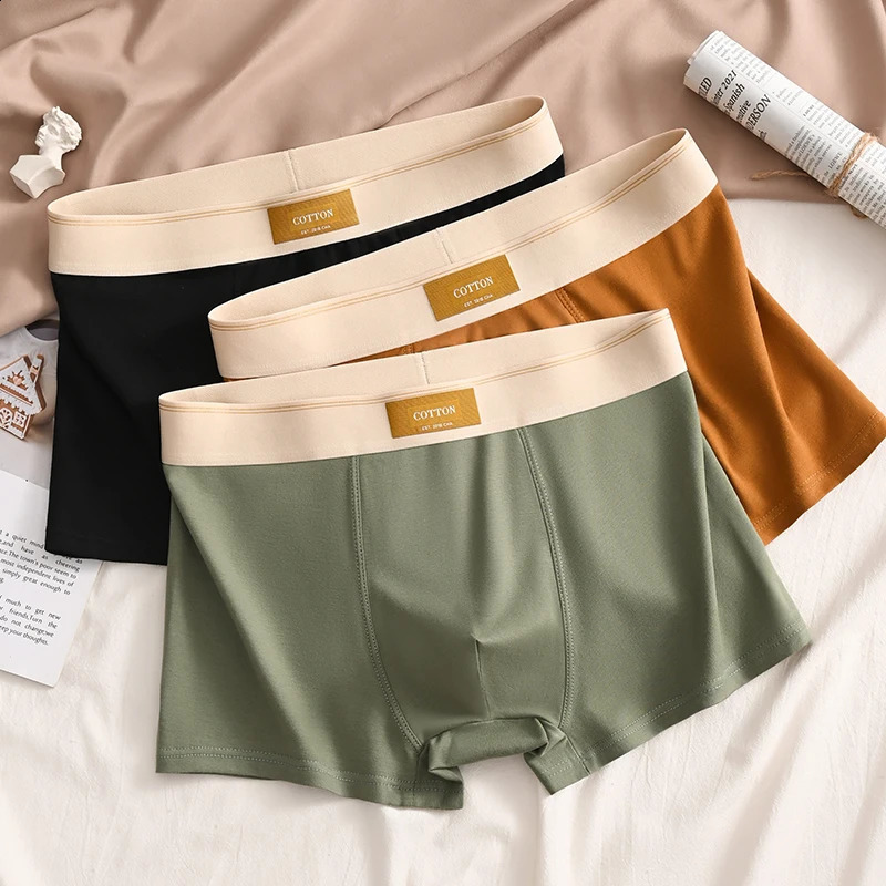 3pcs Men Underwear Cotton BoxerShorts Hombre Panties Man Breathable Underpants Sexy Sports Comfort Male Boxers Large Size L-6XL 240729