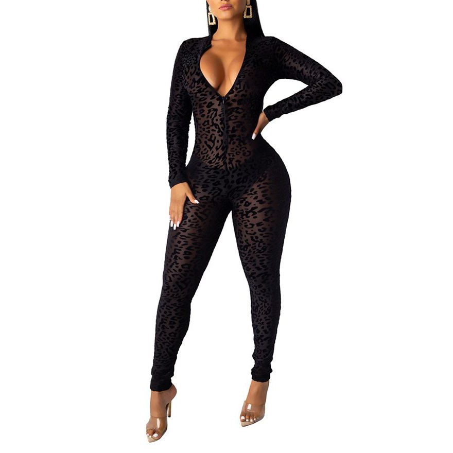 Women See Through B… - image