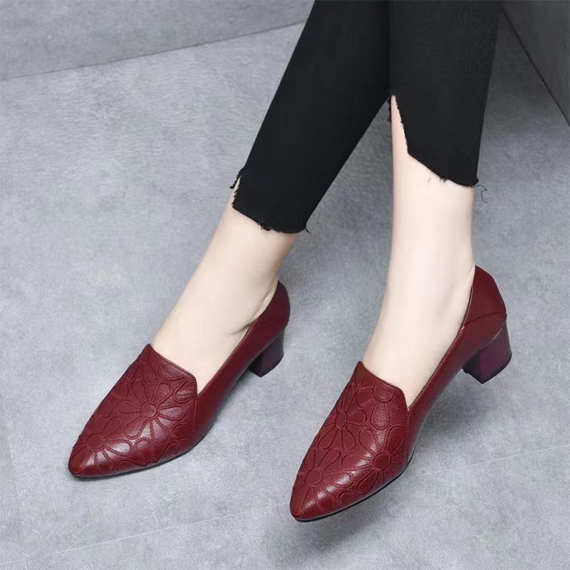 Soft soled pointed embroidered women's single shoes versatile new leather shoes high heels