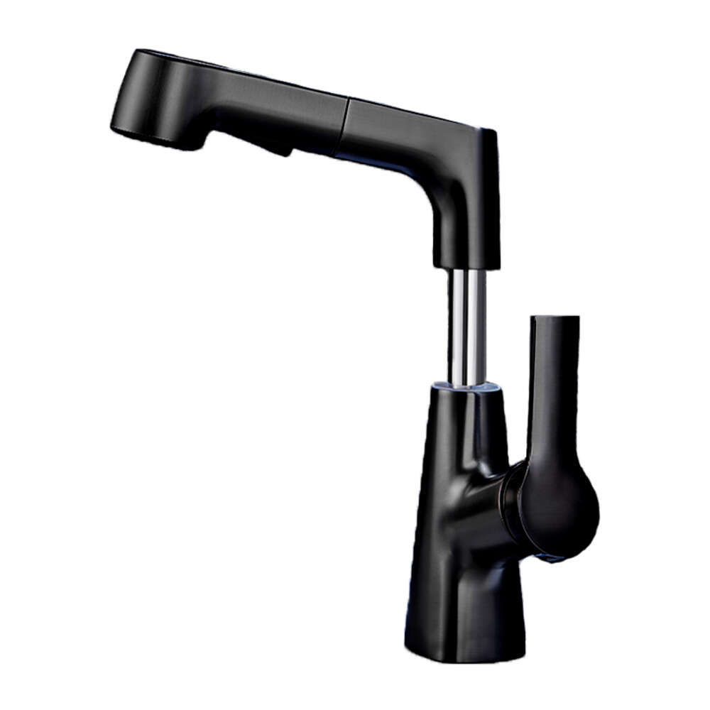 Lift 360° Rotatable Bathroom Basin Stainless Steel Kitchen Sink Faucet with Pull Out Sprayer