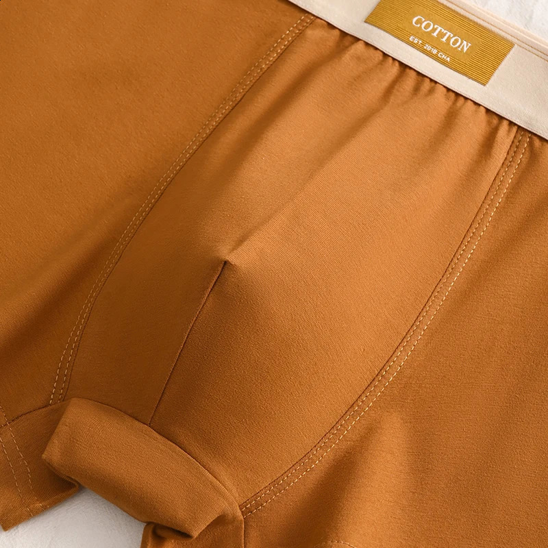 3pcs Men Underwear Cotton BoxerShorts Hombre Panties Man Breathable Underpants Sexy Sports Comfort Male Boxers Large Size L-6XL 240729