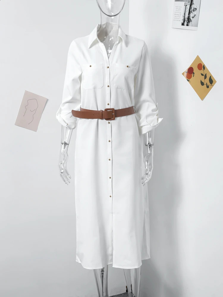 Elegant Pleated Belt Dress Women Turn-down Collar Long Sleeve Single Breasted Dresses Female 2024 Spring Summer Lady Vestidos 240729