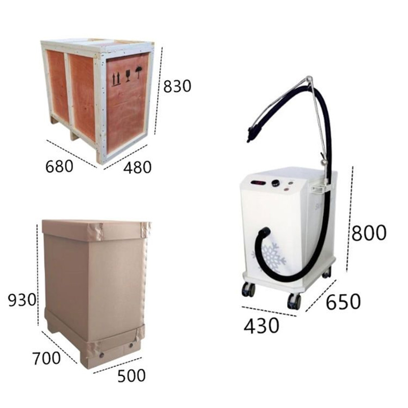 Professional Skin Cooling Tattoo Remove Pain Relief Cold Air Therapy Machine For Co2 Fractional ND Yag Laser Treatmen