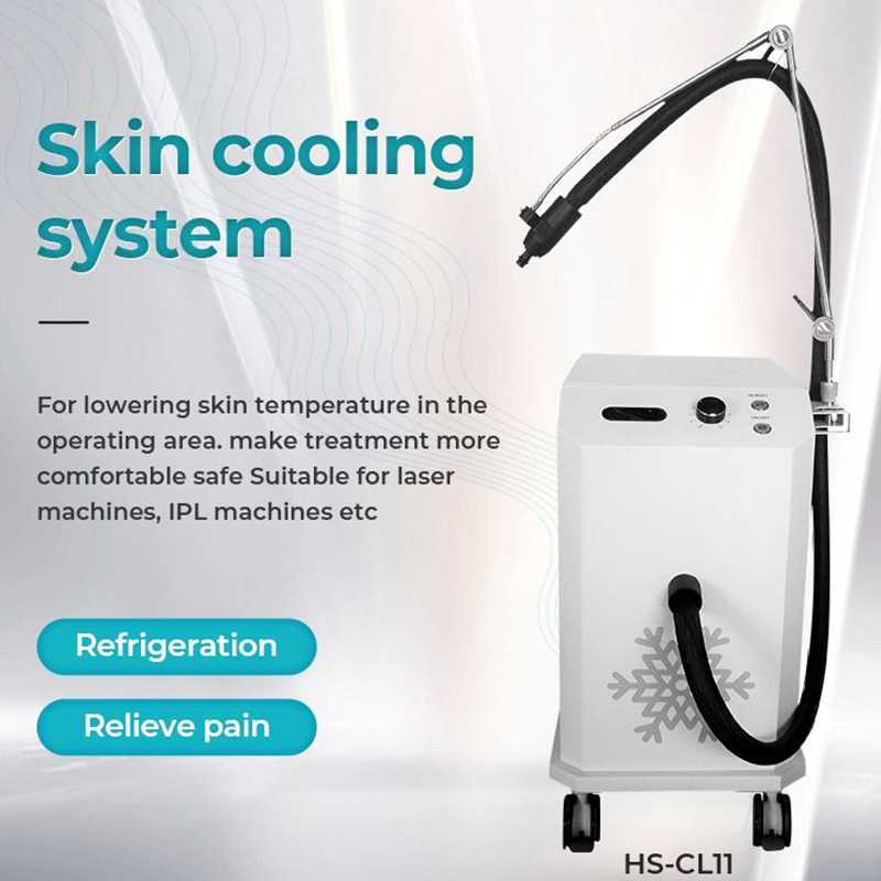 Professional Skin Cooling Tattoo Remove Pain Relief Cold Air Therapy Machine For Co2 Fractional ND Yag Laser Treatmen