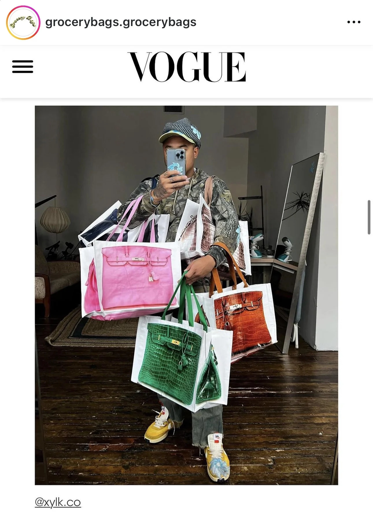 INS parody creative grocerybags platinum remake fashion bloggers same fiess and leisure bag 240731