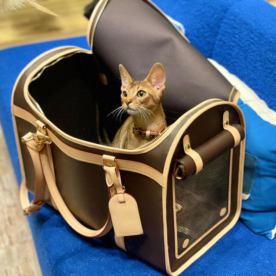 pet bag with window classic leather pet carrier bag dog carrier designer classic logo luxury dog bag breathable cat weekend hiking pet dog cat bag brown go out bag