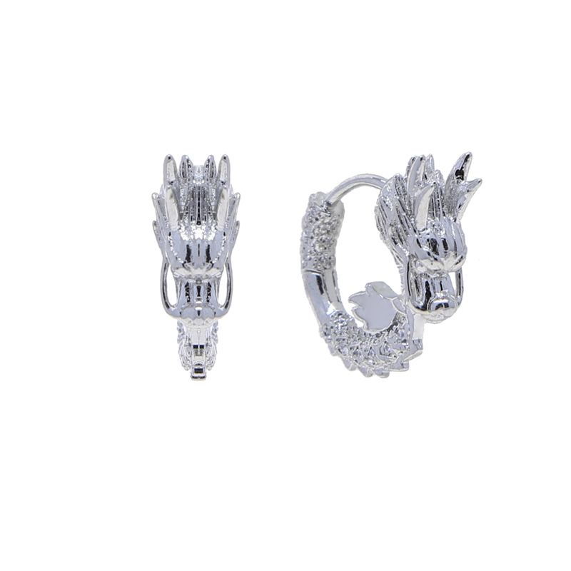 Circle Hoop Earrings Men and Women: Micro Pave Bg Zircon Iced Out Fashion Jewelry for Daily Wear