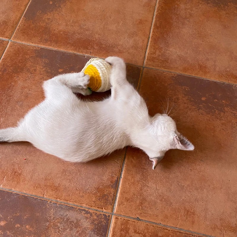 Sisal Scratching Ball Training Interactive for Kitten Pet Cat Supplies Feather Toy