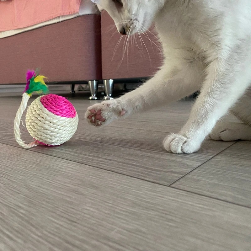 Sisal Scratching Ball Training Interactive for Kitten Pet Cat Supplies Feather Toy