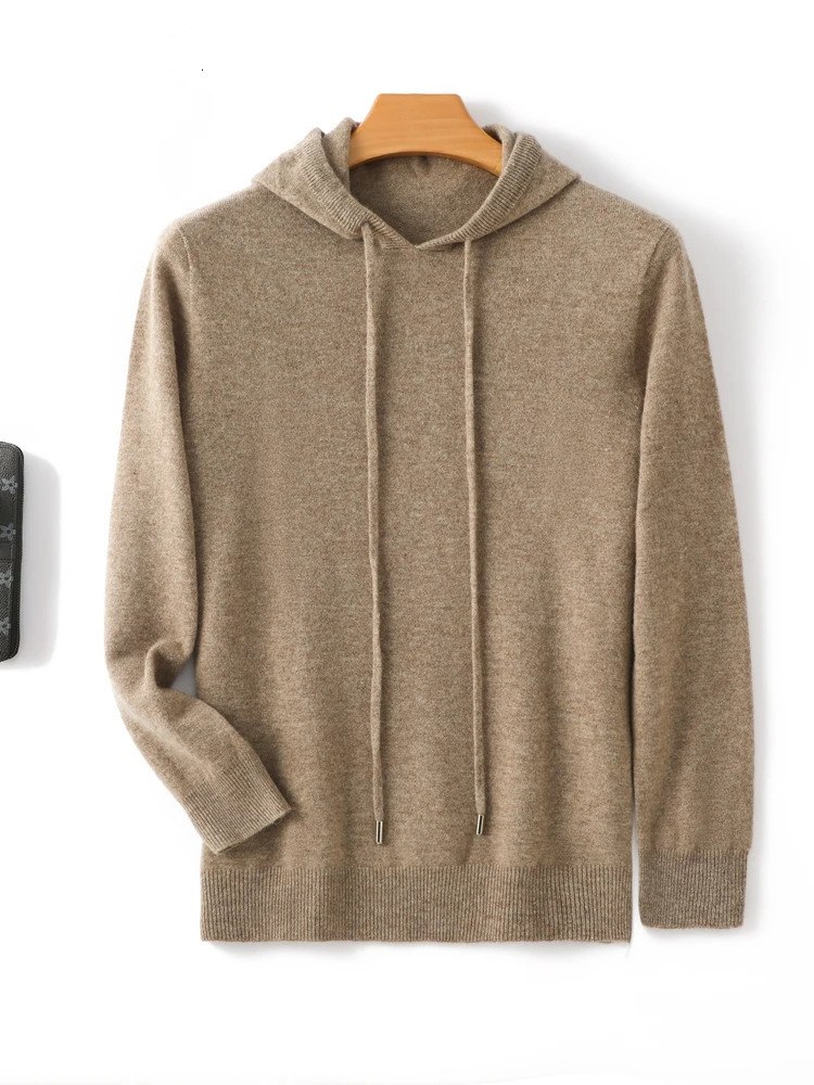 Spring Autumn Men Hooded Pullover Basic Style Cashmere Sweater 100% Merino Wool Knitted Solid Color Warm Casual Knitwear Tops 241031