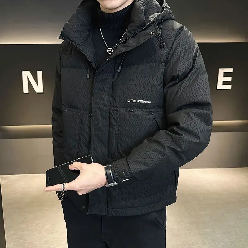 Fashion Vintage Down Jacket For Men Fall Winter Warm Parka Coats Male Lightweight Stand Up White Duck Hooded Puffer 241024