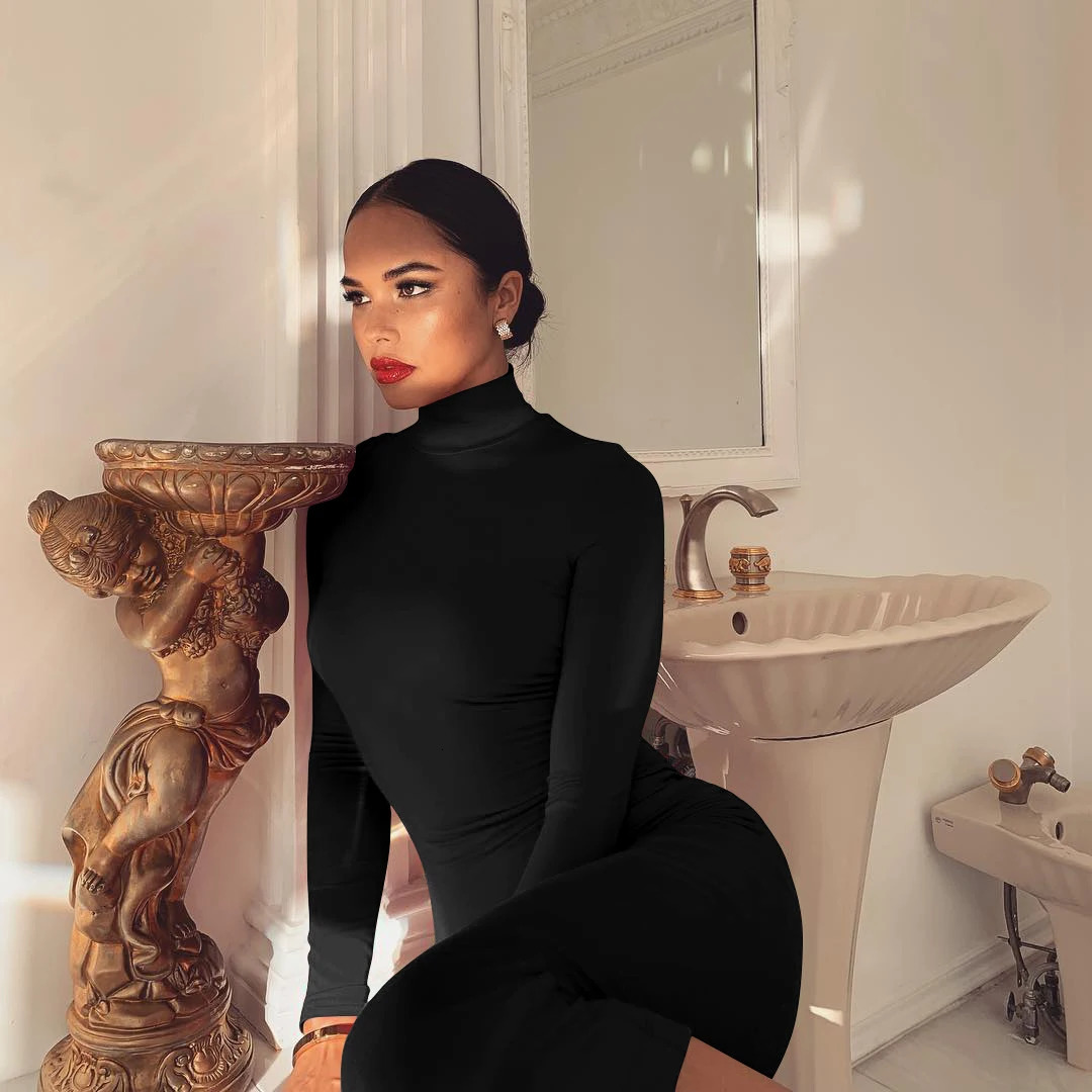 spring Longuette longsleeved Elastic force Slim High collar slim long dress 241031