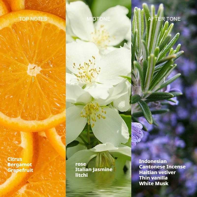 Delicate Perfume For Women Elegant And Reing Dating Perfume Birthday Gift Halloween Gift Christmas Gift Valentines DayXJ241101