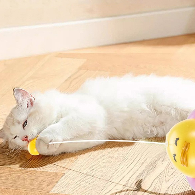 a complete collection of kitten products for teasing cats, baseball, tumblers, leaking food, pet cat toys for self entertainment, new models for relie