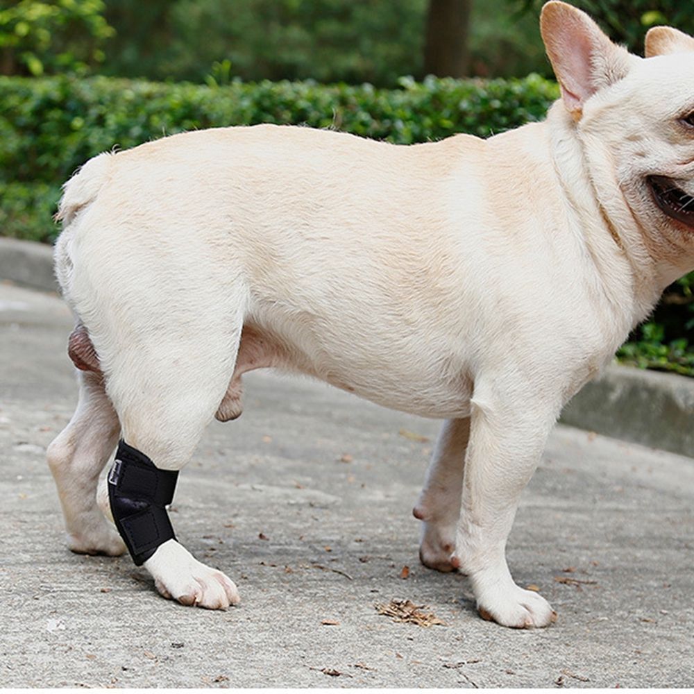 Joint Recovery Bandage Protective Case for Small,Middle,Large Dog Pet Knee Pads Dog Leg Brace Dog Support Brace Dog Leg Wrap
