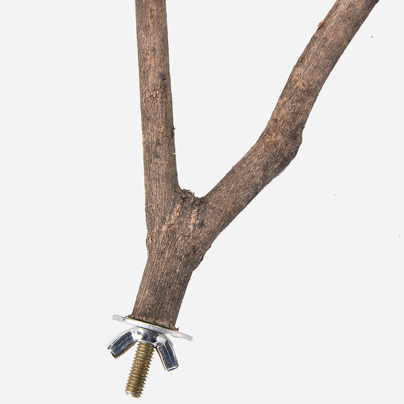 1Pc Hamster Branch Perches For Bird Cage 15cm Pet Parrot Raw Wood Fork Tree Branch Stand Rack Toy