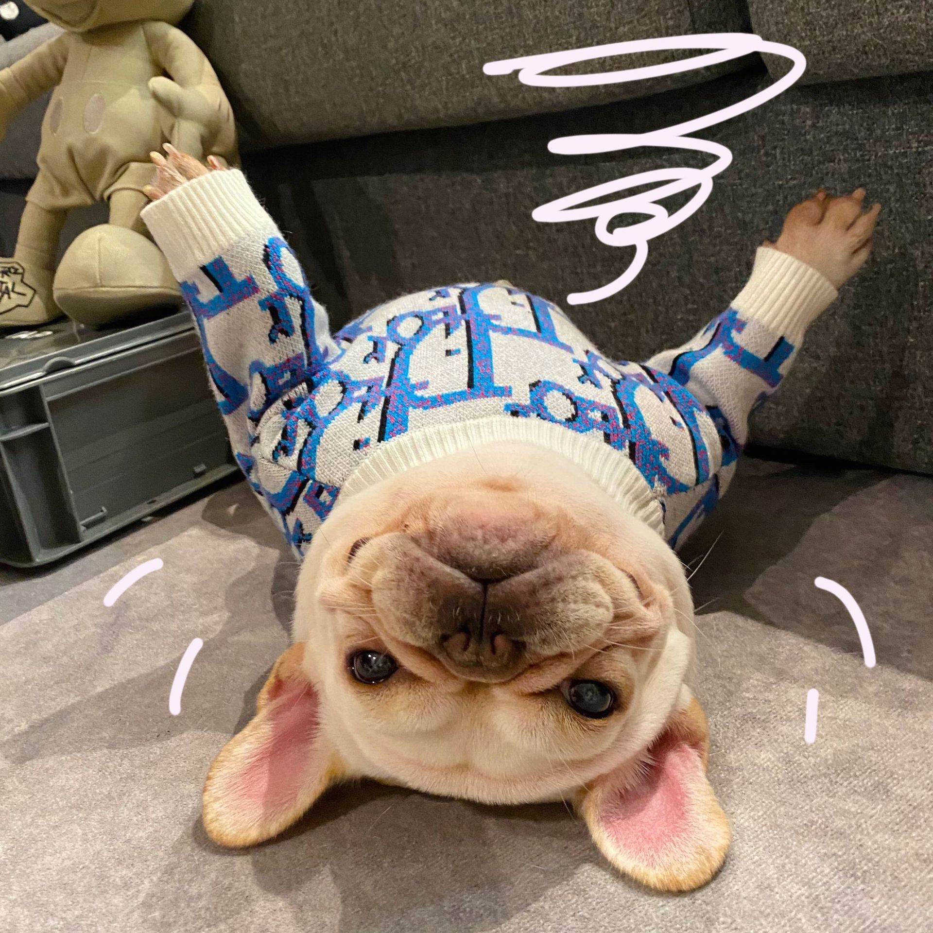 Popular New Design Pet Clothing Autumn Winter Soft Comfortable Sweater For Cat Fight Teddy Schnauzer