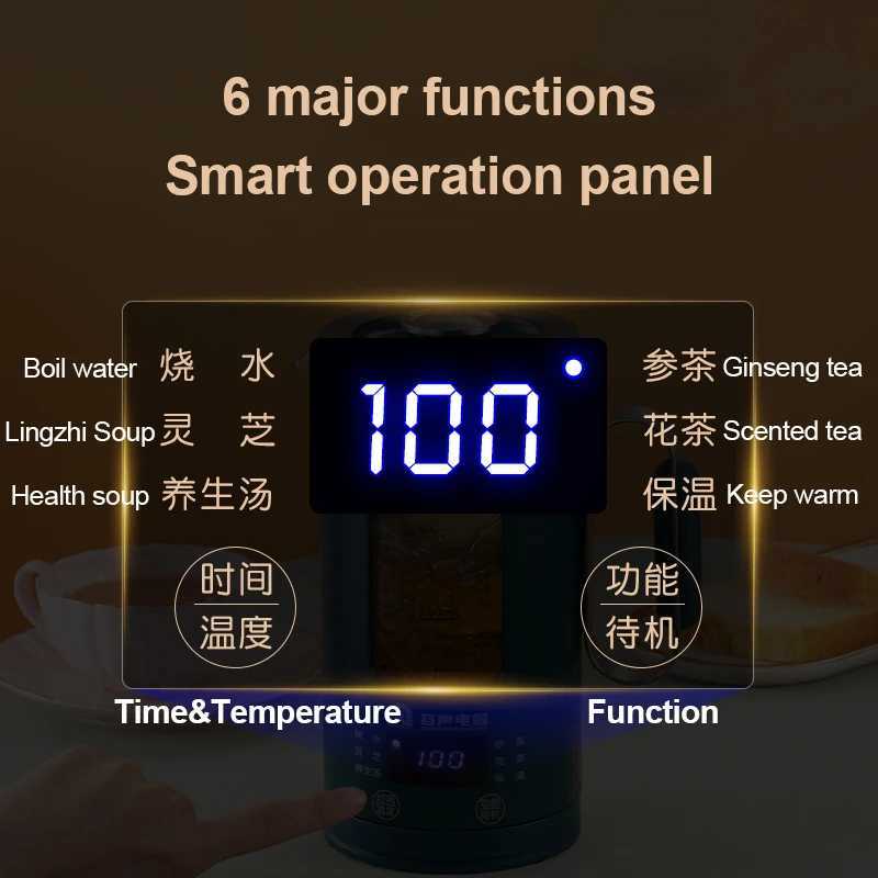 Portable stainless steel health protection kettle with filtering and heating function Y241102