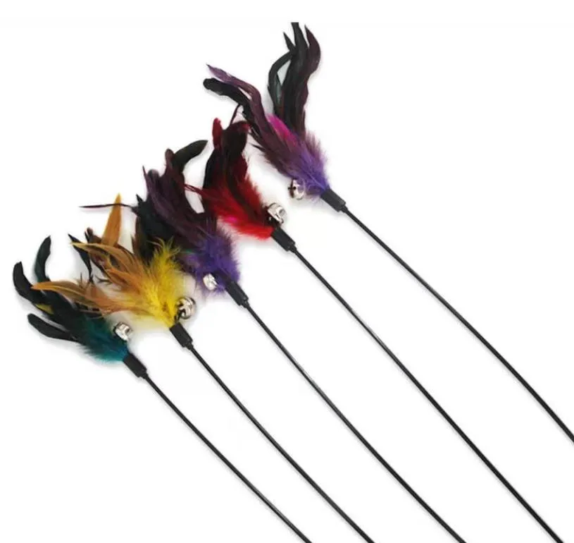 Cat Teaser Wand Toy Interactive Pet Kitten Birds Feather Play Sticks With Bell