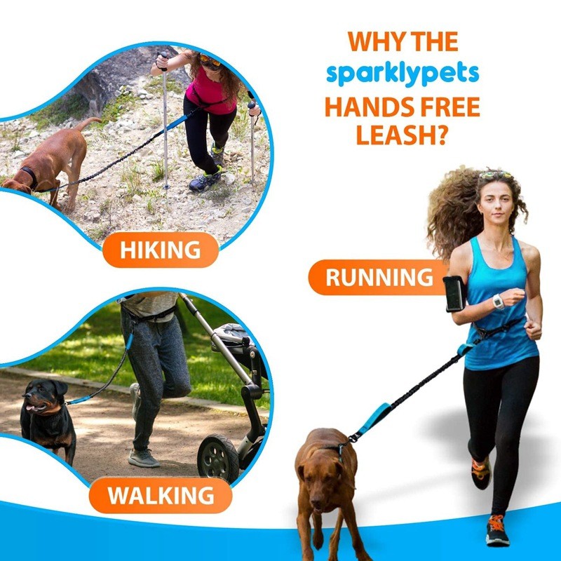 2/3 Multiple Dog Leash Dog Accessories Waist Elastic Pet Leash Dog Leashe for Large Dog Color Reflective