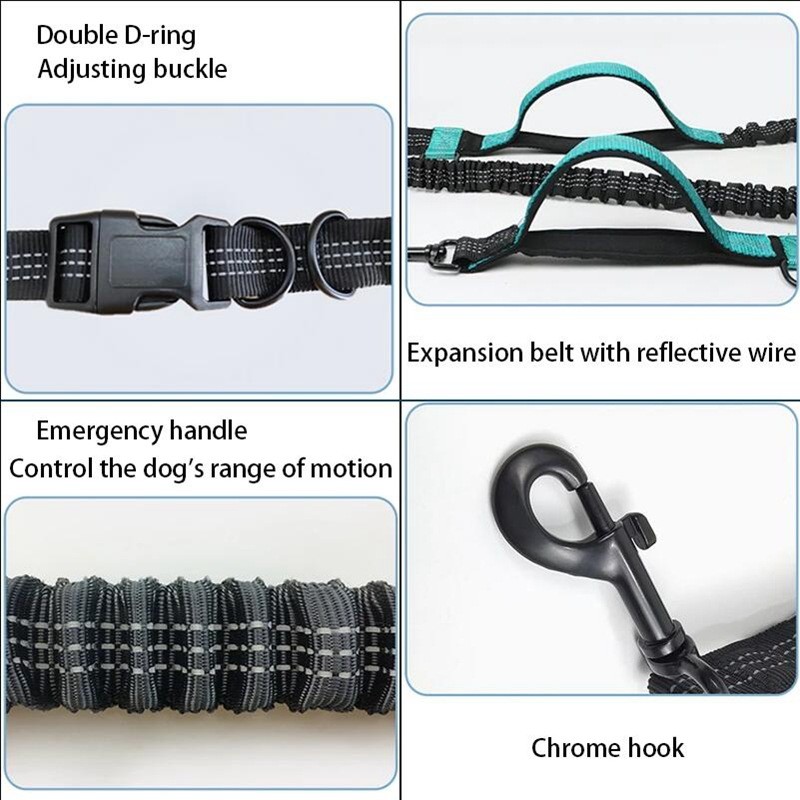 2/3 Multiple Dog Leash Dog Accessories Waist Elastic Pet Leash Dog Leashe for Large Dog Color Reflective
