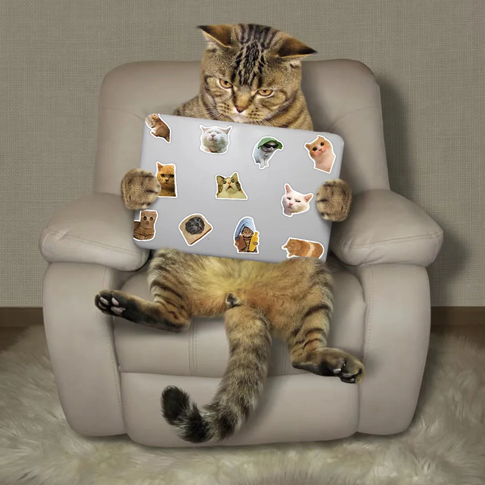 50PCS Funny Cat Kitty Cute Kawaii Animals MEME Stickers Lage Notebook Motorcycle Laptop 2025 new Decals Stationery Kids Toy