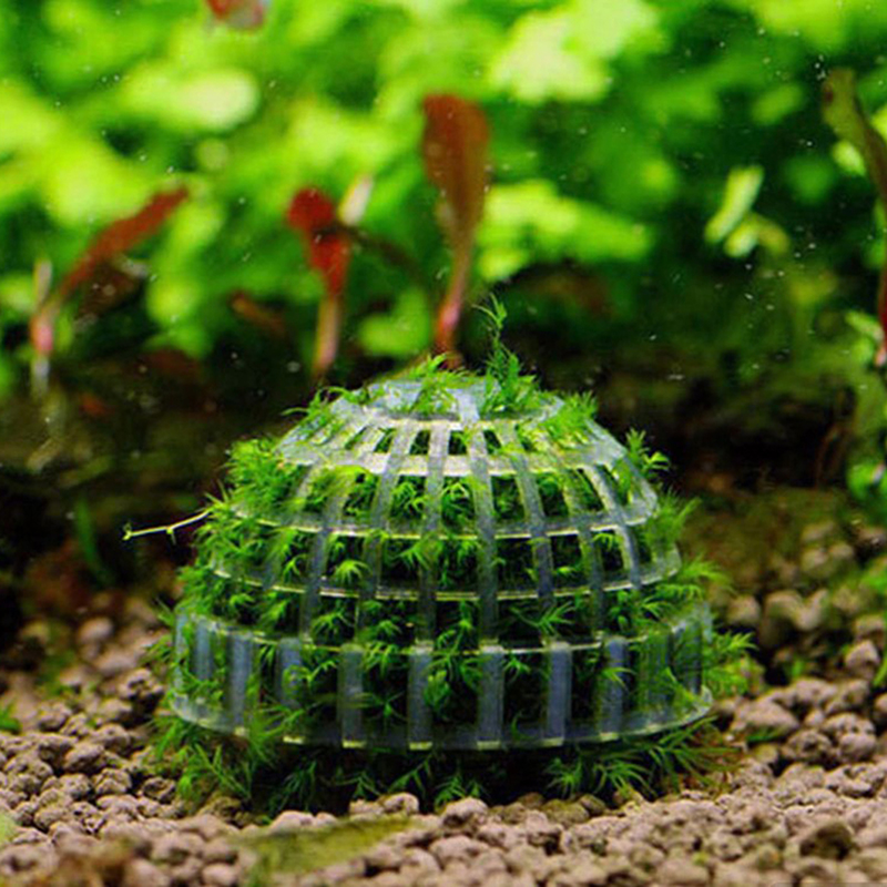 Aquatic Pet Supplies Decorations Aquarium Moss Ball Live Plants Filter Decor