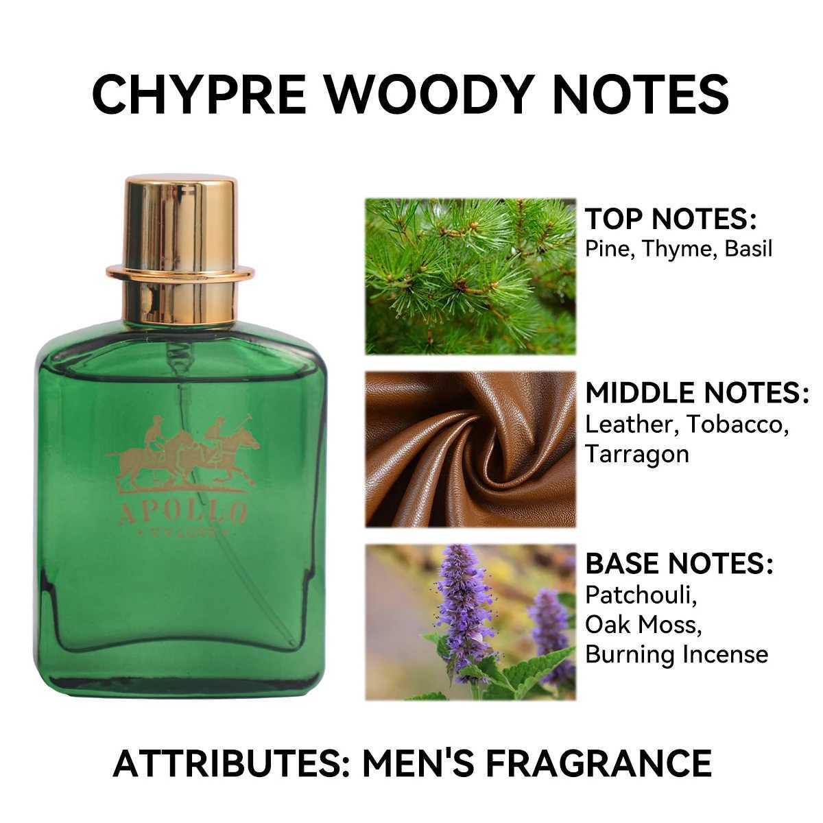 Apollo Mens Cologne 1.01oz Chypre Woody Notes Long Lasting Alcoholic Spring Cologne for Him mens perfumeW241102