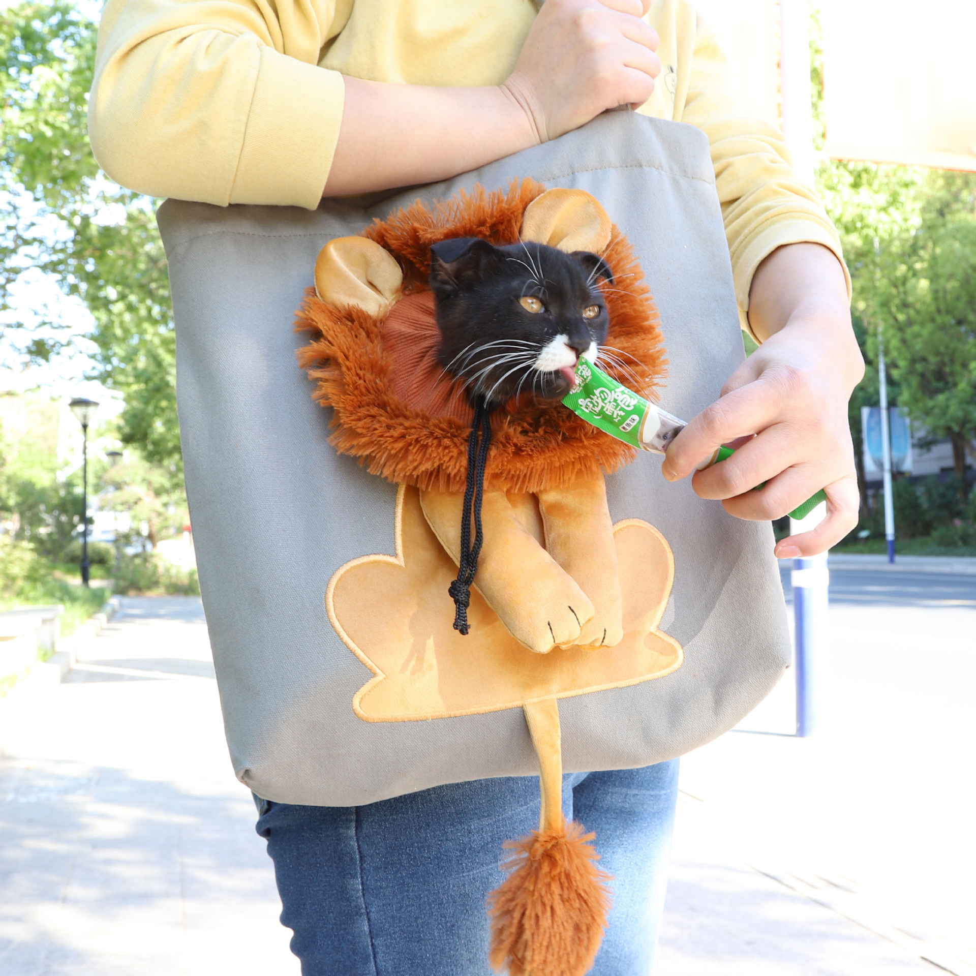 New Design Soft Pet Carriers Lion Portable Breathable Pet Handbag With Safety Zippers