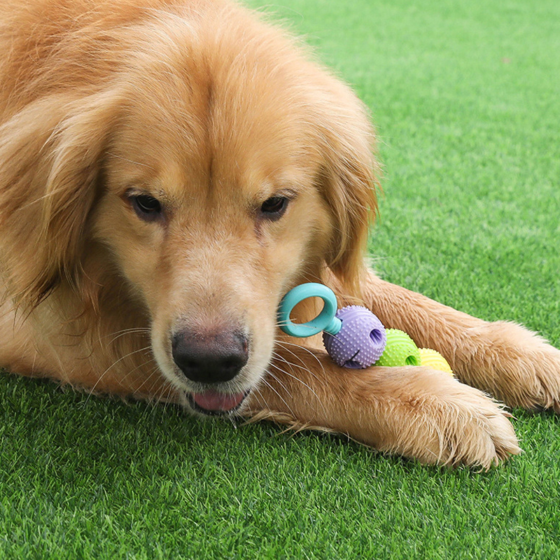 new Dog Teeth Grinding Stick Toy, Self Hi Relieving Tool, Medium sized Dog Pet Supplies, Anti Bite Adhesive