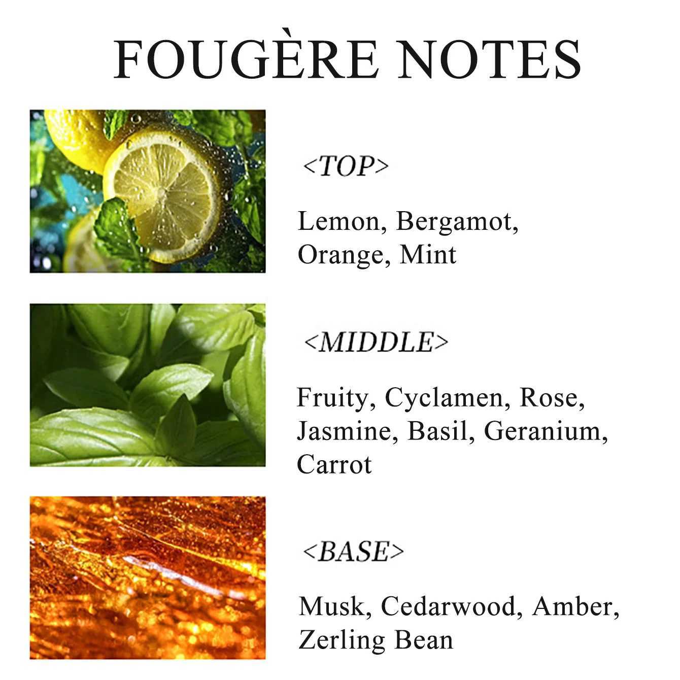 100ML 3.4FL. OZ Fougere mens perfume mens amber mens cologne lemon mint rose musk perfumes lasting EDPW241102