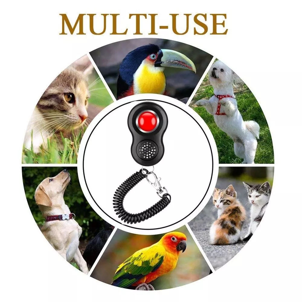 Pet Cat Dog Training Clicker With Finger Loop Wrist Band Humanized Scientific Professional Design Pet Tool Set