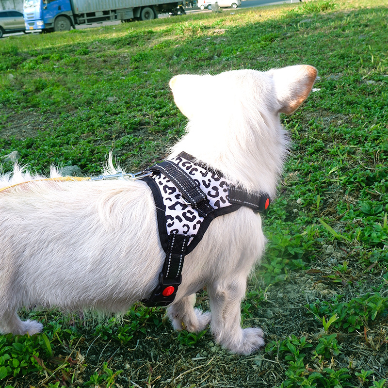 Dog Harness - Saddle Style Pet Strap Grip Vest with Adjustable Soft Padded Vest & Easy Control Handle for Medium,and Large Dogs