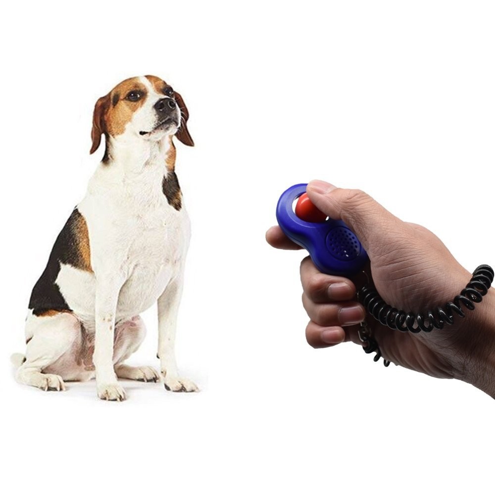 Pet Cat Dog Training Clicker With Finger Loop Wrist Band Humanized Scientific Professional Design Pet Tool Set
