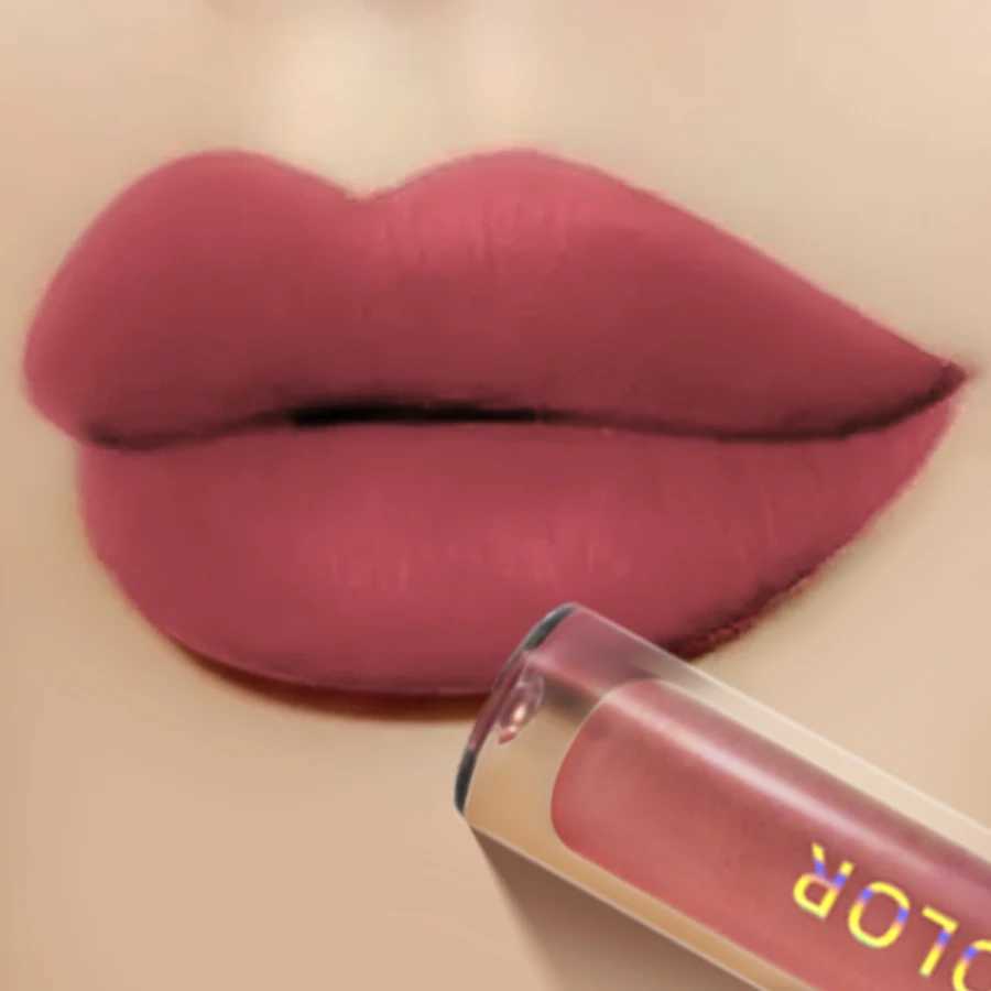 Matte Velvet Lip Color Waterproof Lip Color Lasting and Fading Liquid lipstick Lip Color Cosmetic lipstick Gift W241101