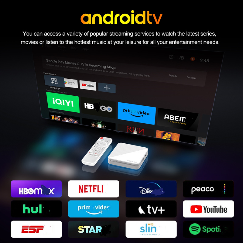 France In Stock H96 Max H313 Smart TV Box 2G 16G Android 14 Dual Wifi 2.4G 5G Allwinner H313 4K Android TV Box